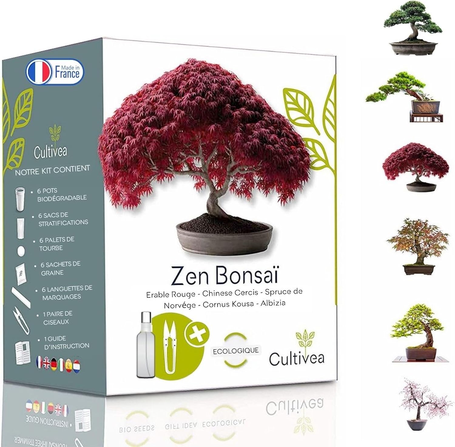 Kit Bonsaï Cultivea – Graines Bio