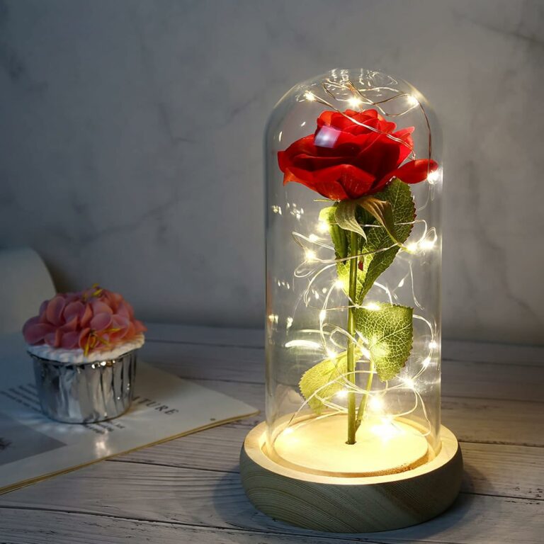 Rose éternelle sous dôme LED – Cadeau romantique unique