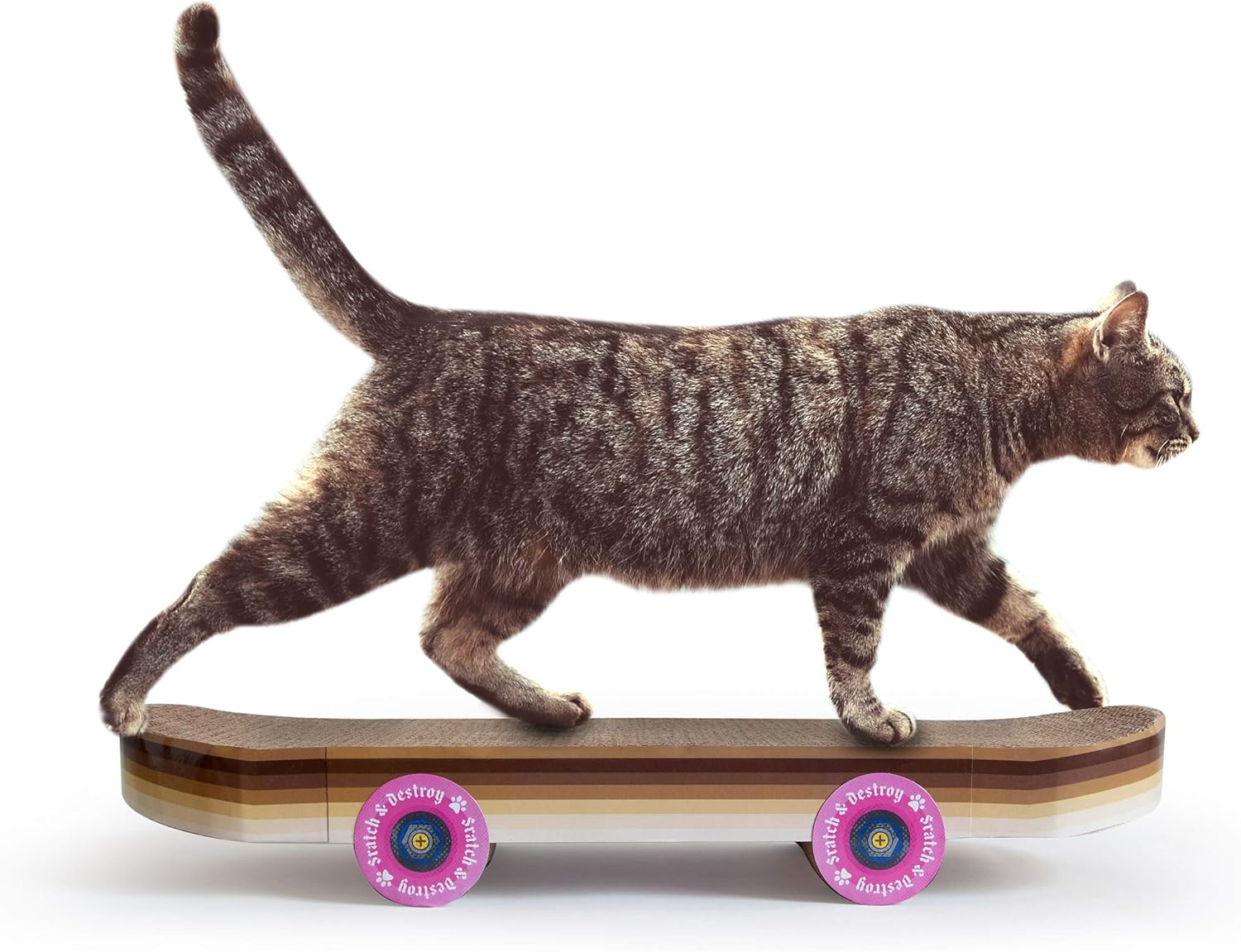 Grattoir skateboard pour chat