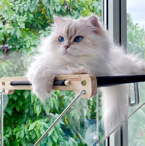 Hamac de fenetre chat