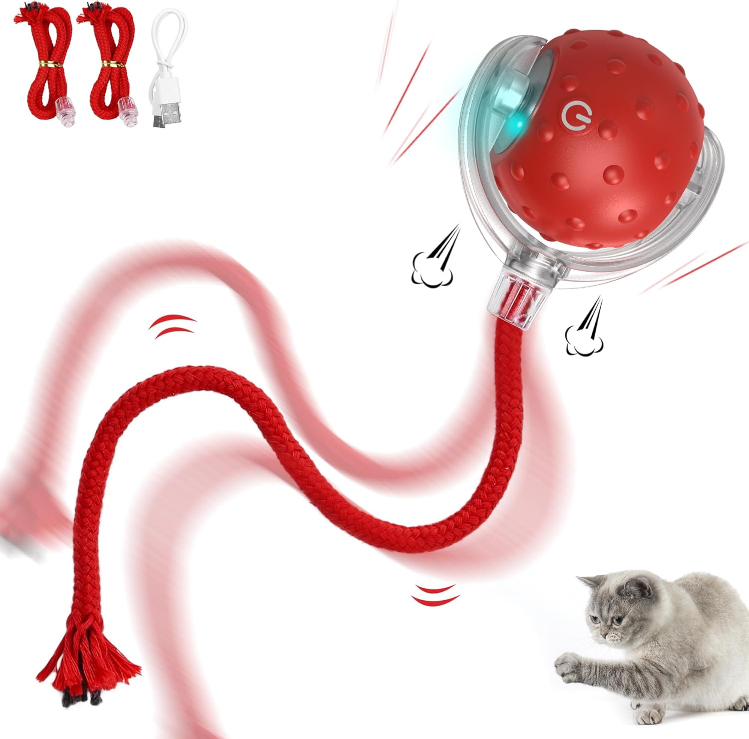 IOKHEIRA Jouet interactif pour Chat
