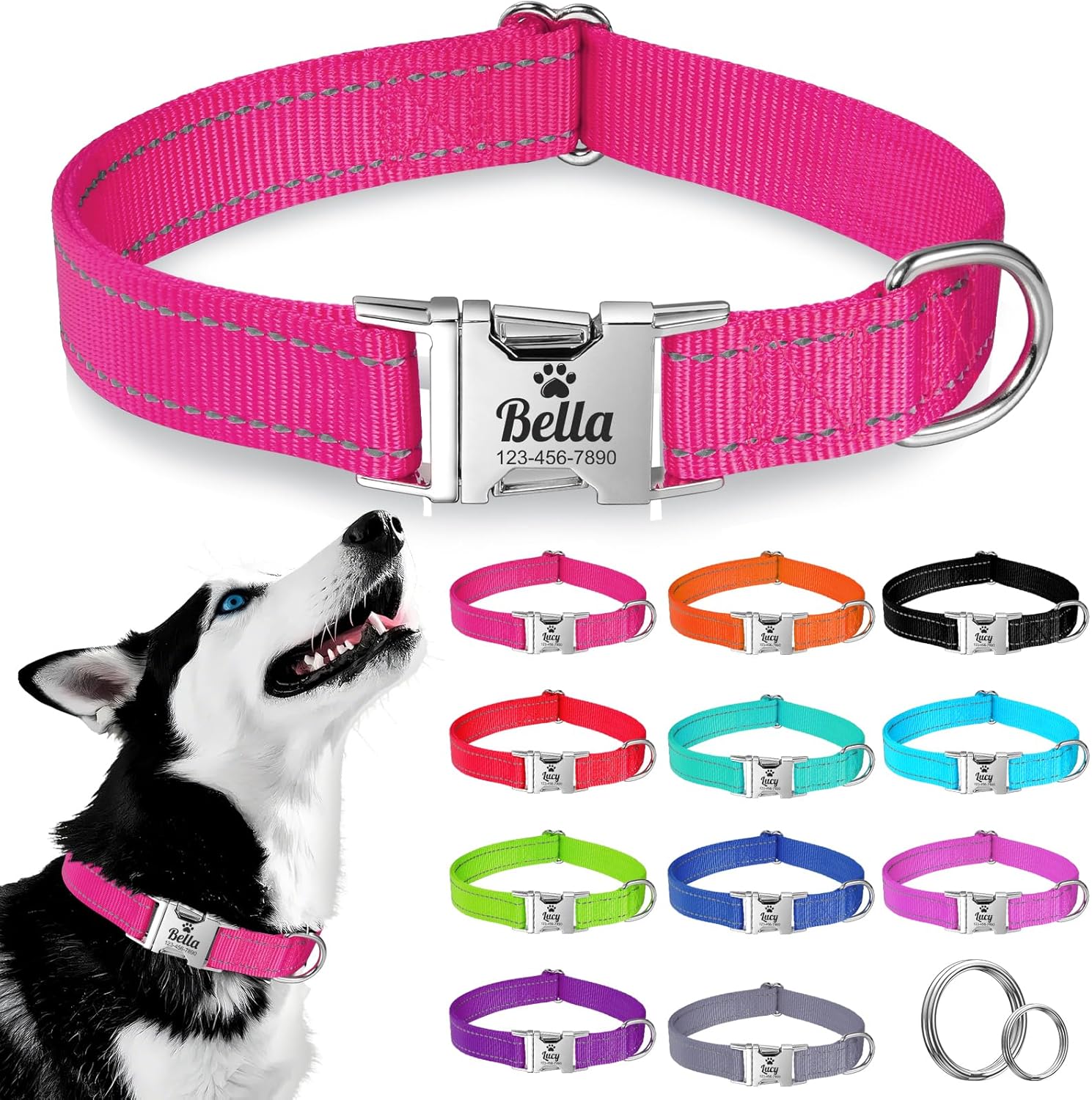 Collier chien personnalisé WASHNN avec nom et téléphone