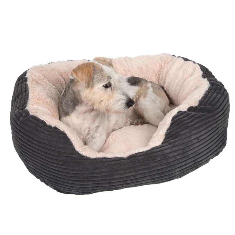 Panier Cozy Cord pour chien et chat – Confort & design